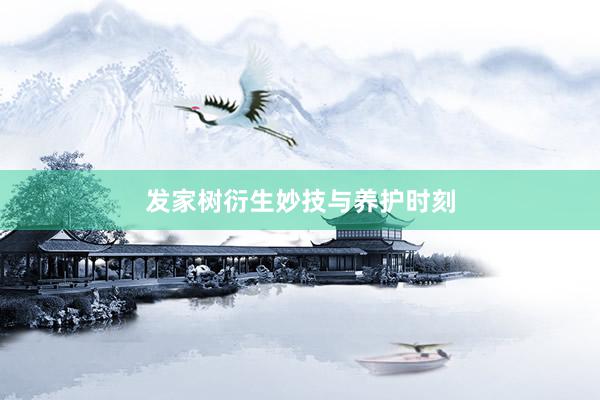 发家树衍生妙技与养护时刻