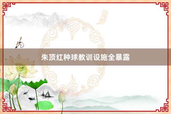 朱顶红种球教训设施全暴露