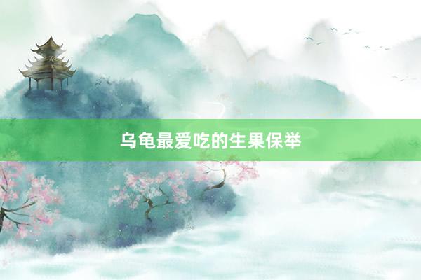 乌龟最爱吃的生果保举